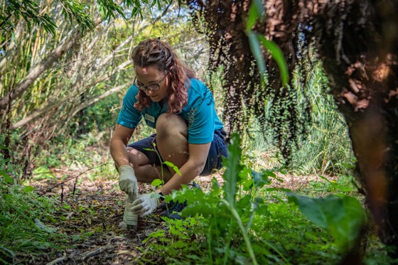 Chester Zoo staff collecting soil, science