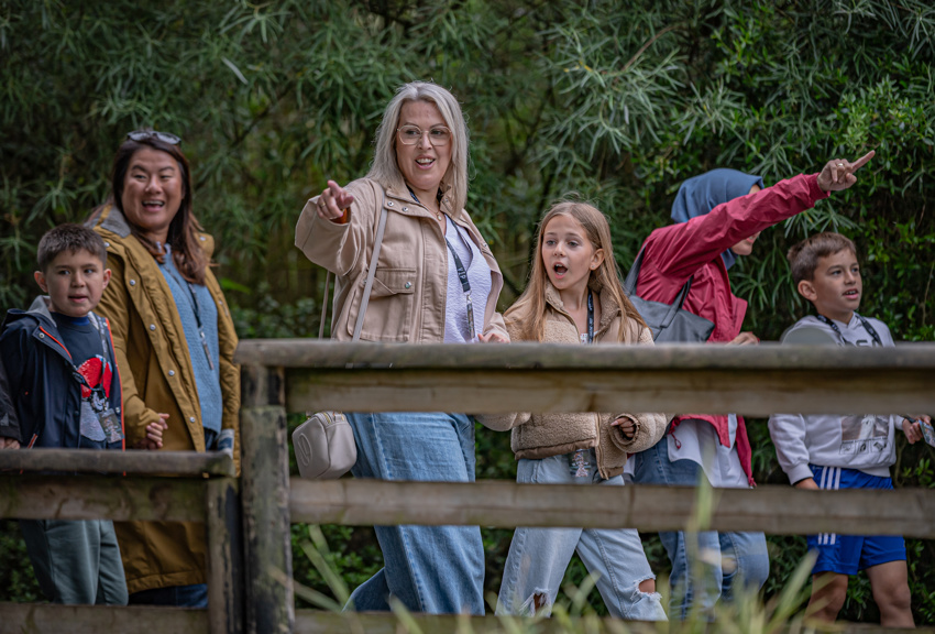 Secret Life Of The Zoo Tour 041