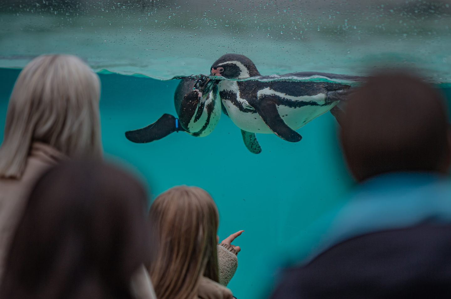 Secret Life Of The Zoo Tour 062