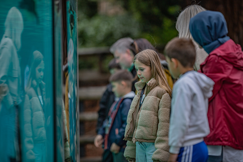 Secret Life Of The Zoo Tour 063