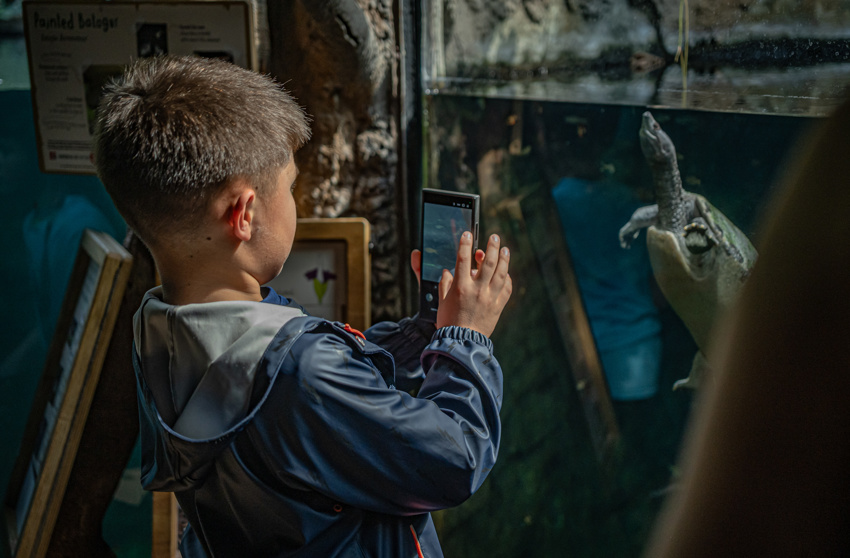 Secret Life Of The Zoo Tour 080