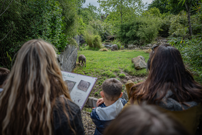 Secret Life Of The Zoo Tour 093