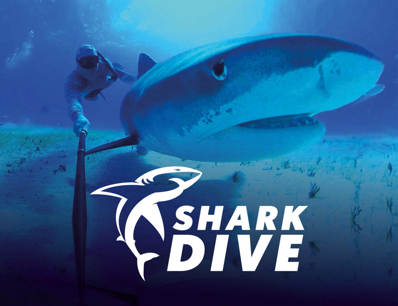 Shark Dive VR Title