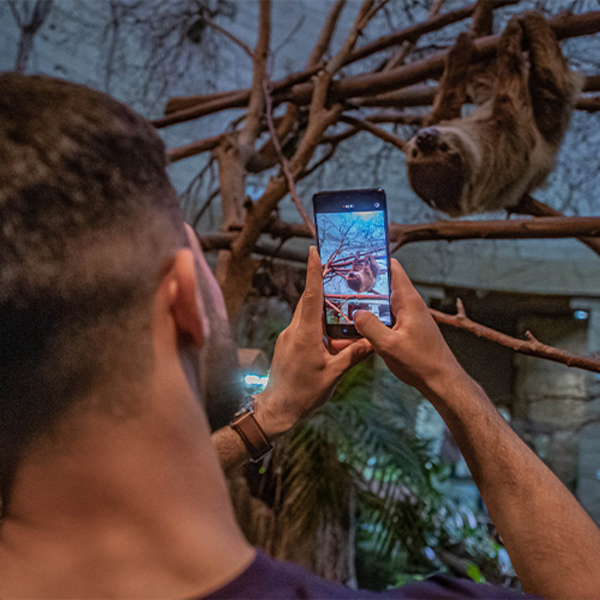 Sloth Selfie LA Adventure SQAURE