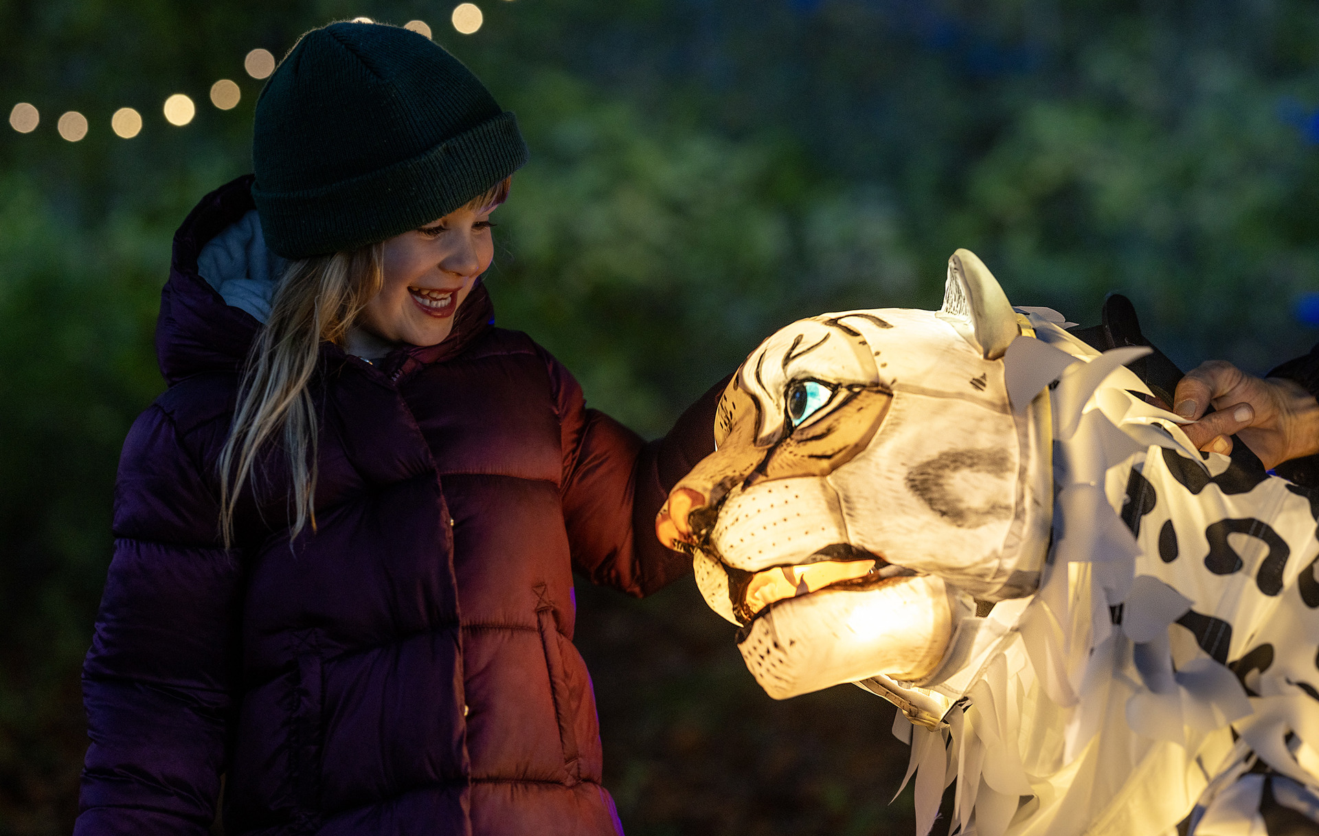 Snow Leopard Puppet, Lanterns And Light 2024 (11)