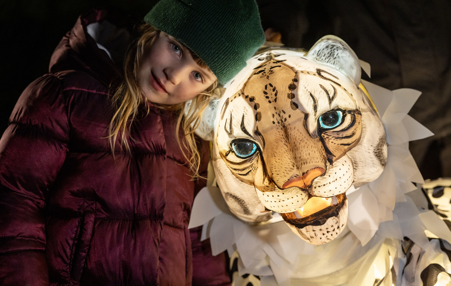 Snow Leopard Puppet, Lanterns And Light 2024 (34)