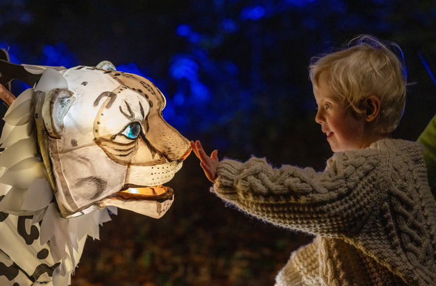 Snow Leopard Puppet, Lanterns And Light 2024 (42)