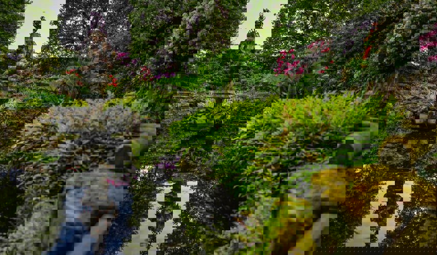 Sunken Garden Habitat At The Zoo 2014 Horticulture And Botany Desktop 1400X817 1