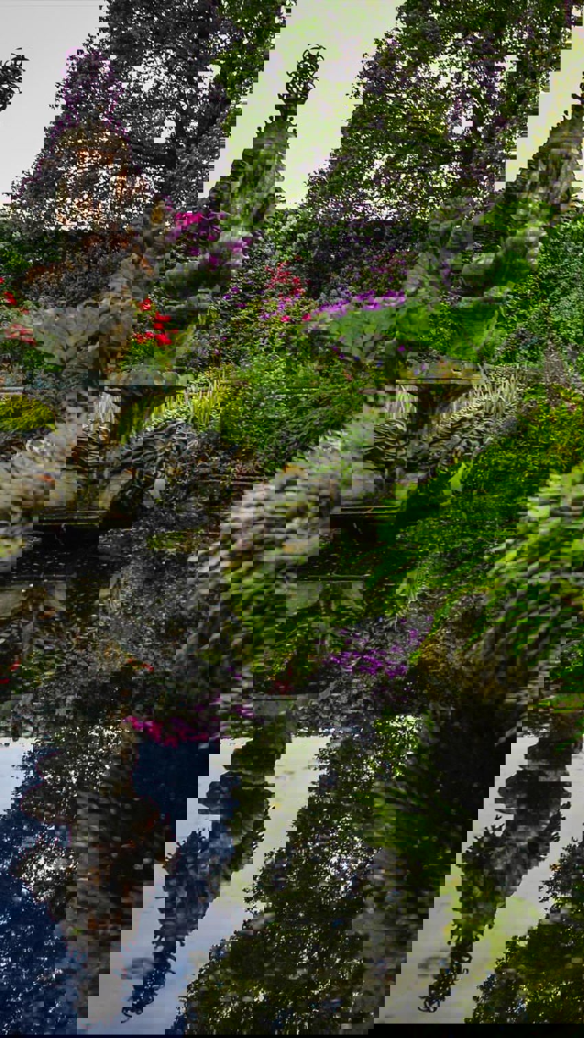 Sunken Garden Habitat At The Zoo 2014 Horticulture And Botany Mobile (1)