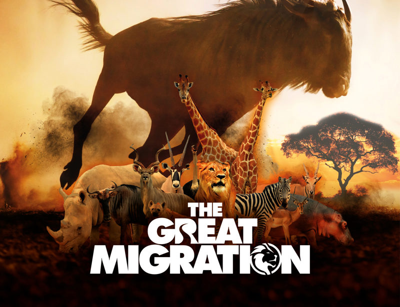 The Great Migration VR Title