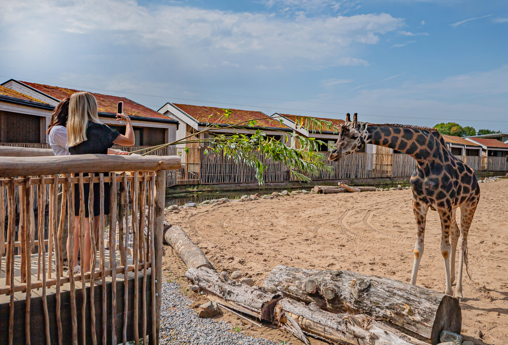 !The Reserve At Chester Zoo Is Set To Welcome Its First Guests This August17 (2)