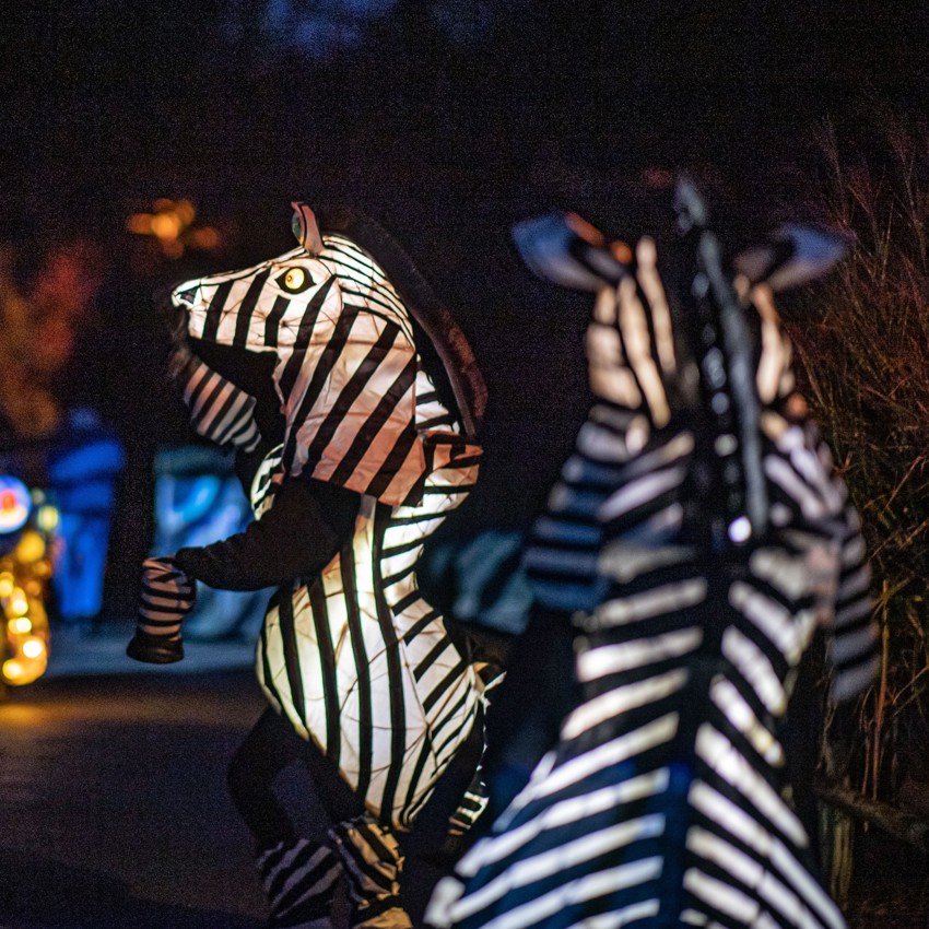 The Lanterns 2022 012