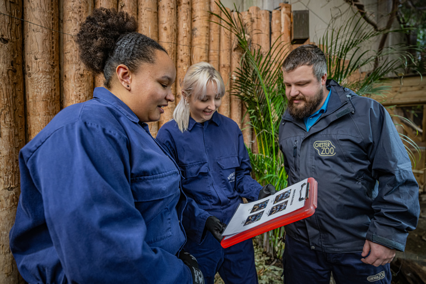 Tortoise Experience 6