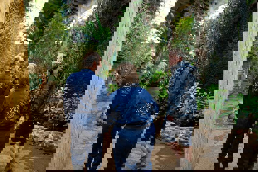 Tortoise Experience Participants Min