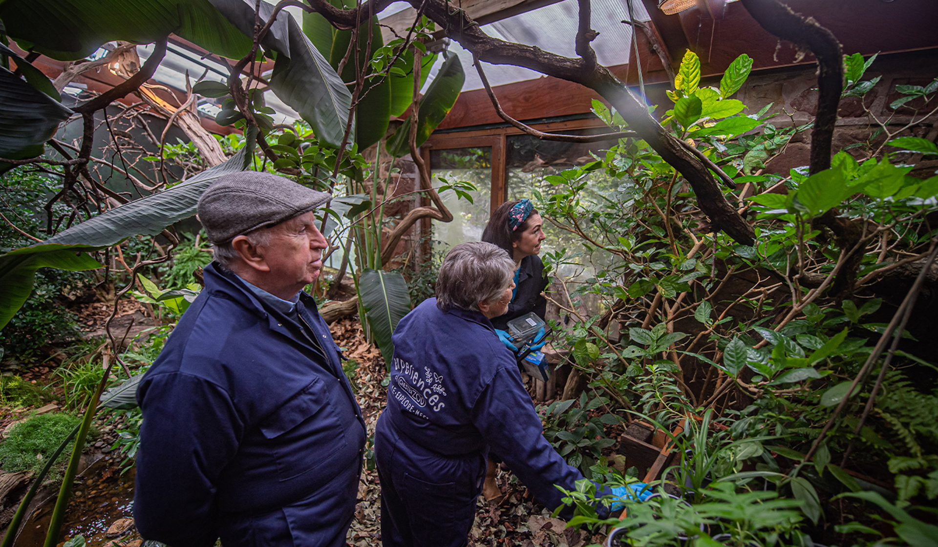 Tropical Experience In The Habitiat