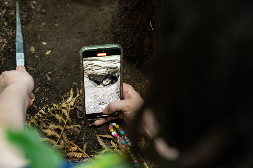 Tuatara Experience 04