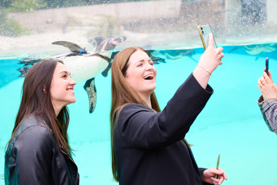 Two Women Taking A Picture With The Penuins