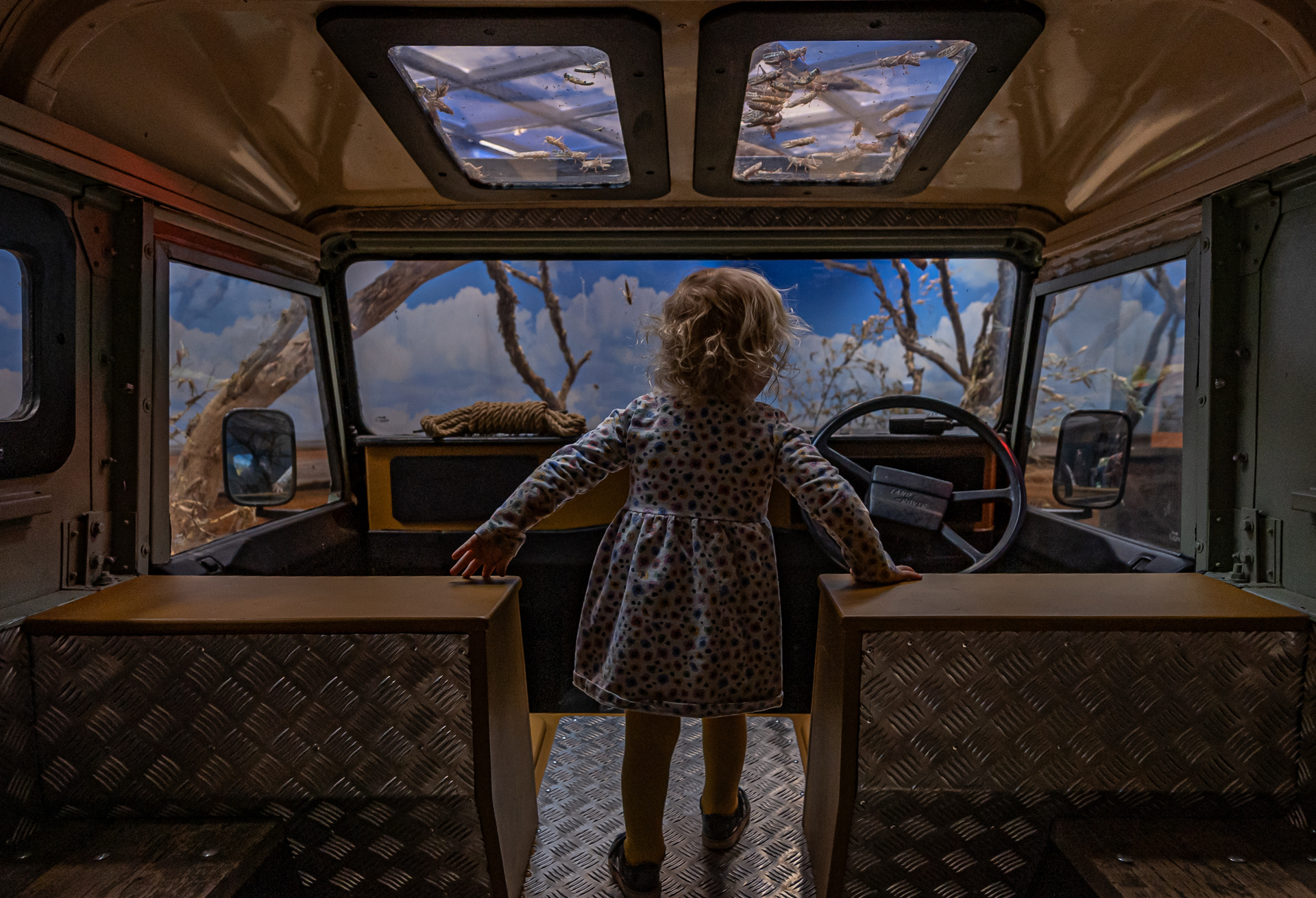 Visitors Can Climb Into A Land Rover And Be Surrounded By 15,000 Locusts