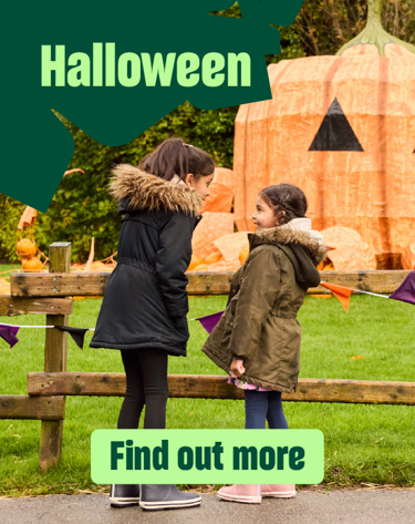 Website Carousel Halloween