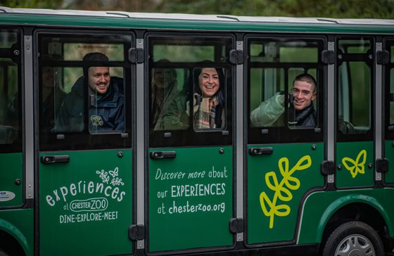 Zoobustours 72 Scaled