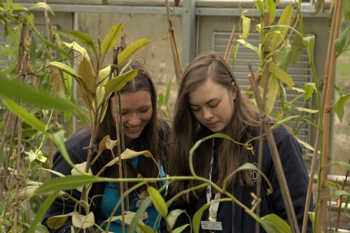 Chester Zoo horticulturists tending to plants