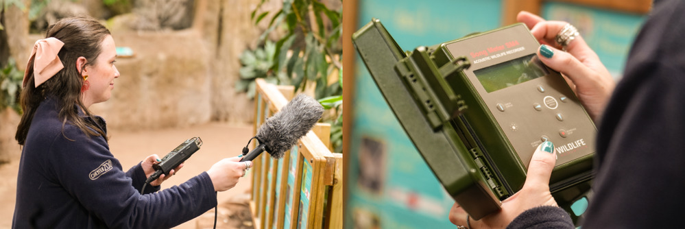 Rebecca lewis undertaking sound monitoring in a free-flying bird habitat. She is wearing a navy hoodie and is carrying a fluffy microphone in the lefthand image and a sound meter in the right