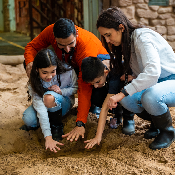 Elephant House Tour Square 1