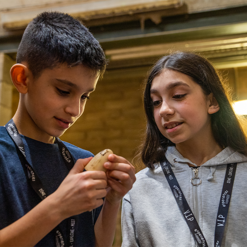 Elephant House Tour Square 3