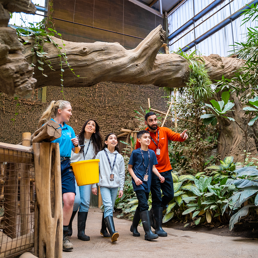 Elephant House Tour Square 4