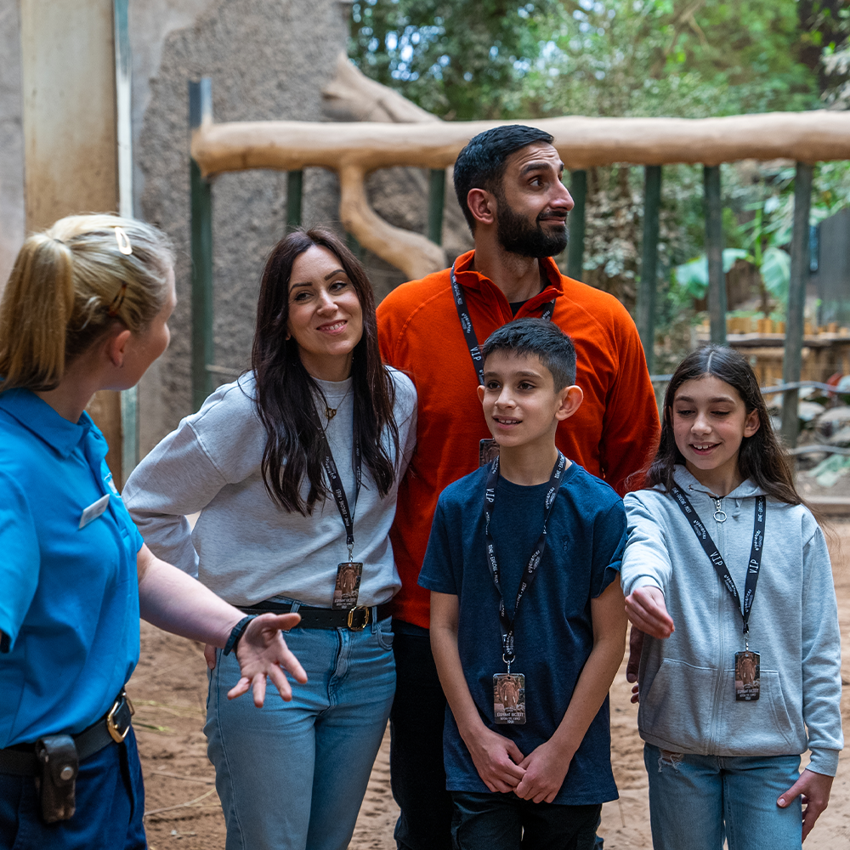 Elephant House Tour Square 6