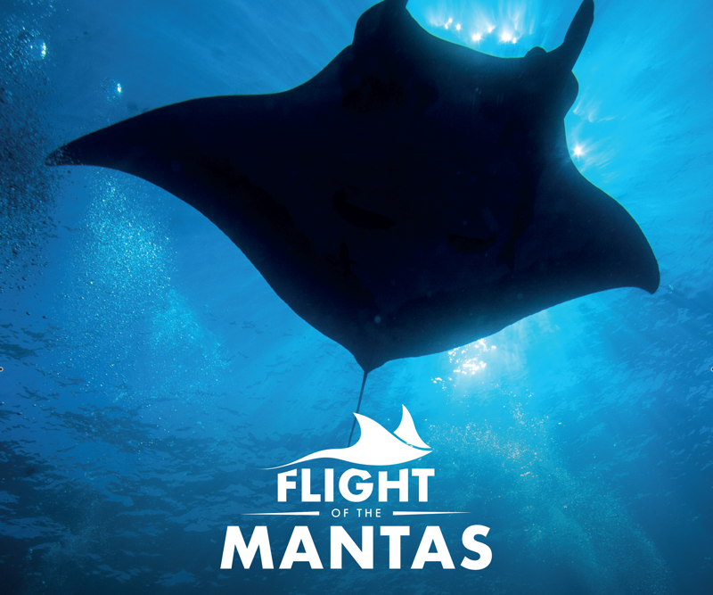 Flight Of The Mantas VR Title