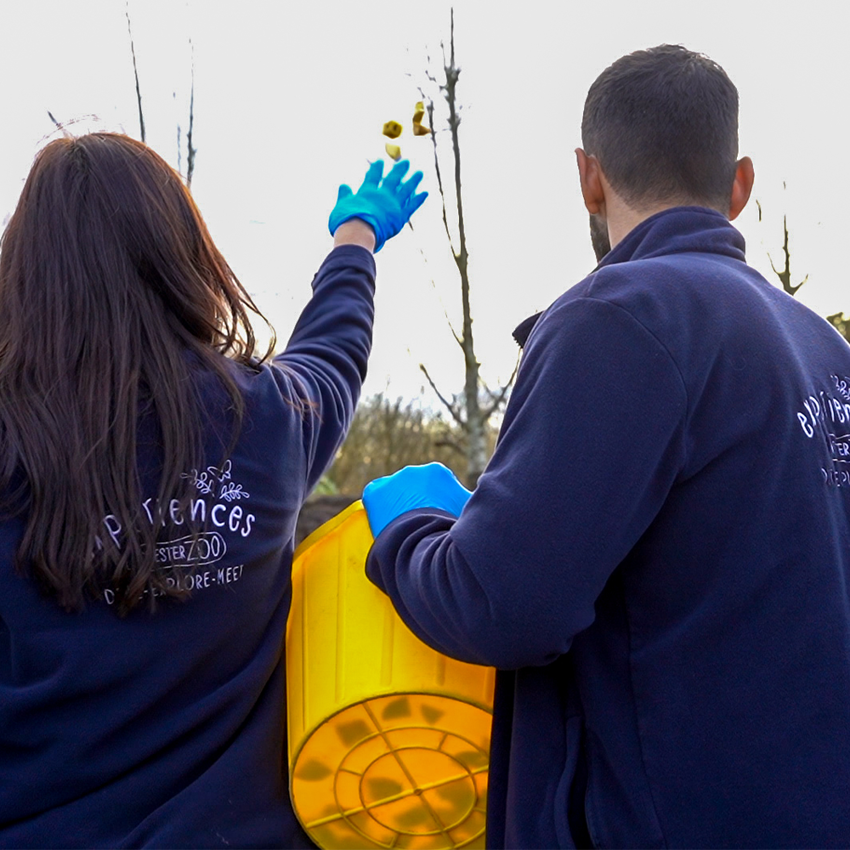 Islands Adventure Square 13