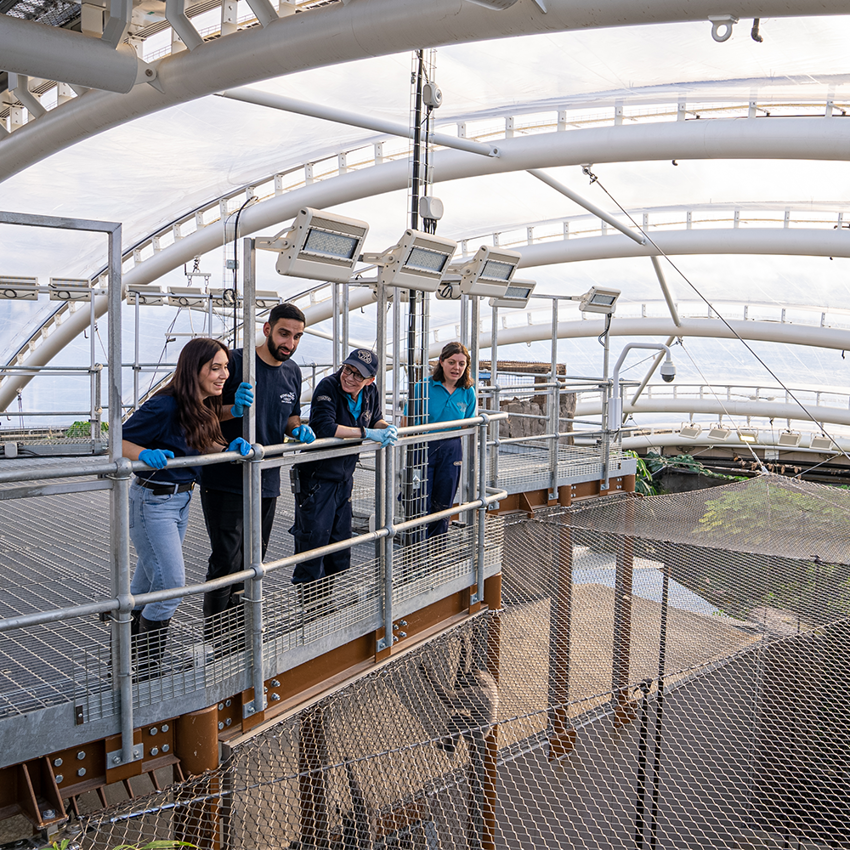 Islands Adventure Square 2