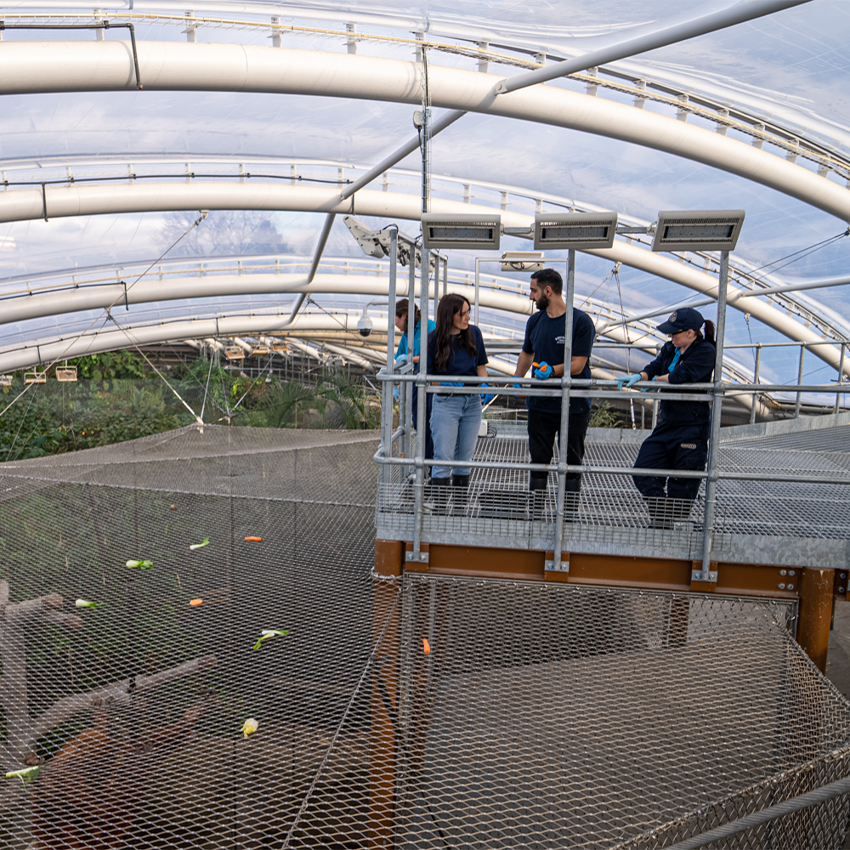 Islands Adventure Square 8