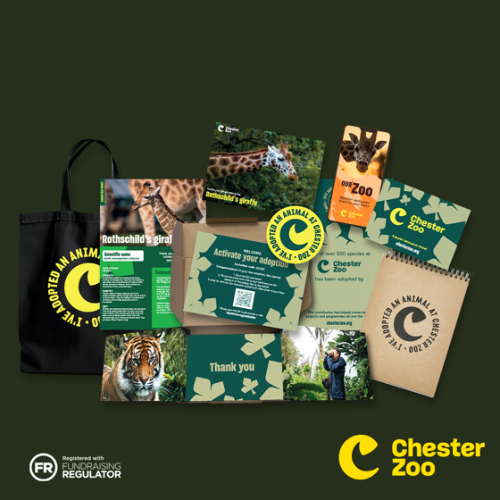 Packshot Giraffe 1 1