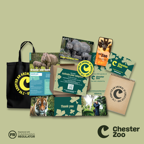 Greater One Horned Rhino Adoption