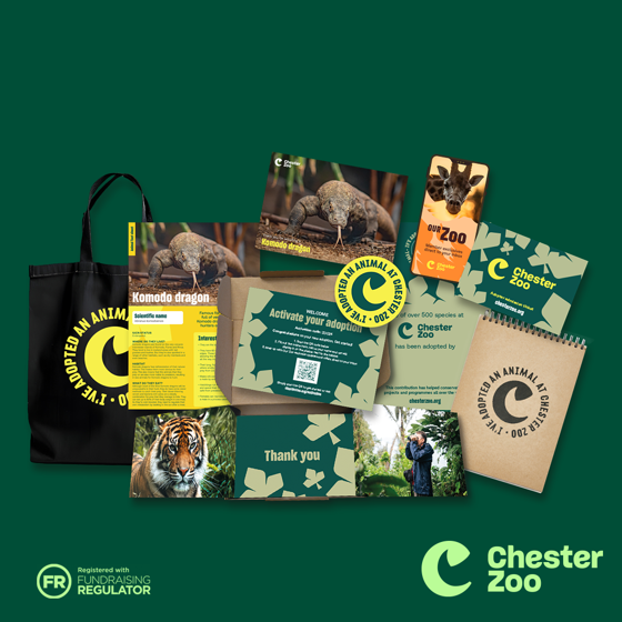 Adoption Landing Page Assets 1080X1080 Komodo Dragon