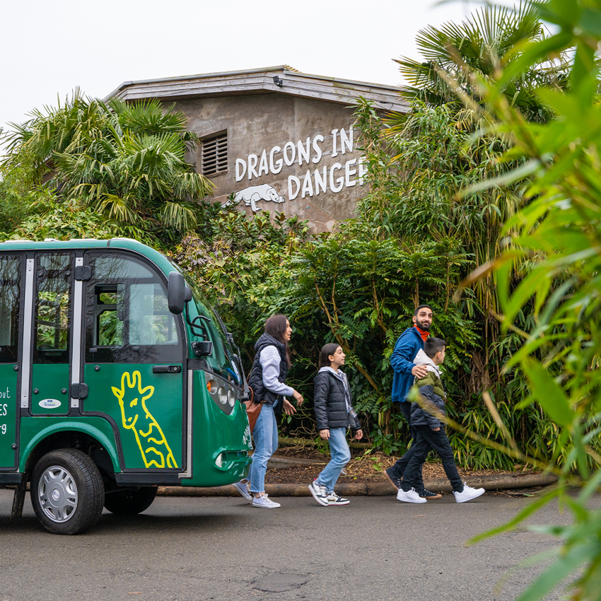 Predator Tour SQAURE